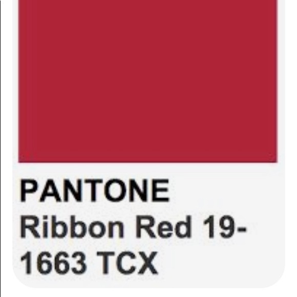 DONATED 🚫New Case Scenario Pantone Universe iPad 2 & 3 Case Color 19-1663 - Picture 3 of 9